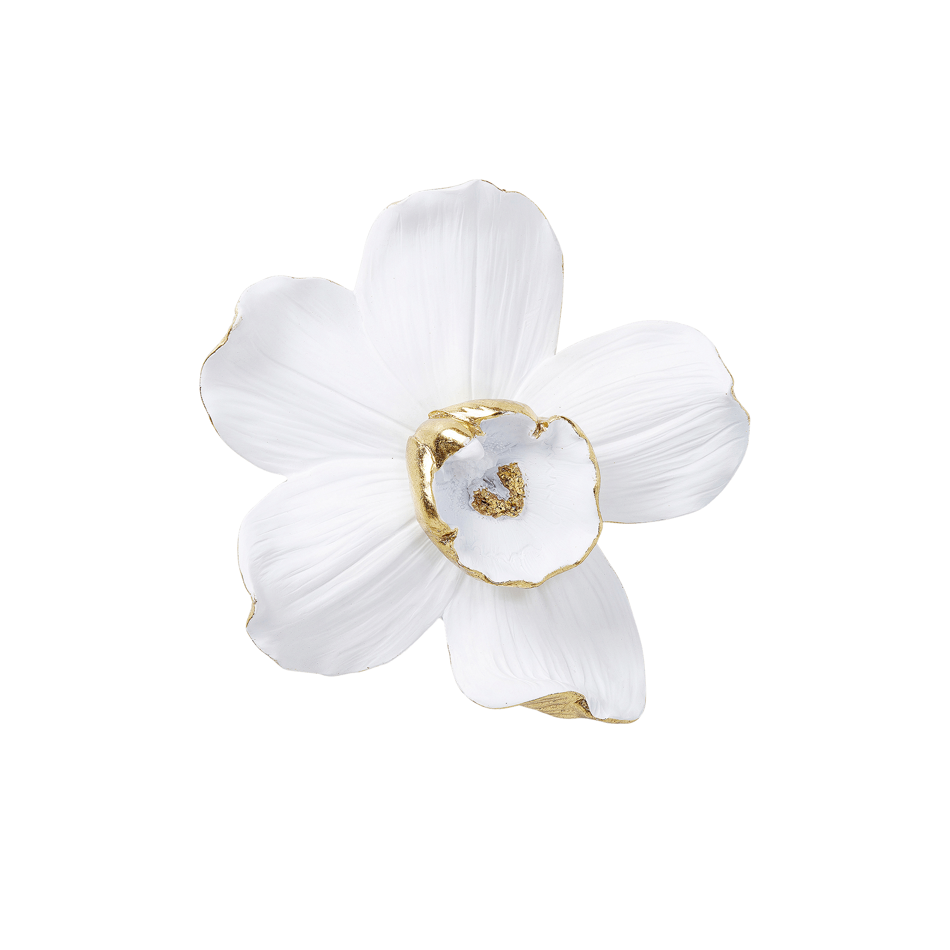 Kare Wanddeko Orchid Weiß