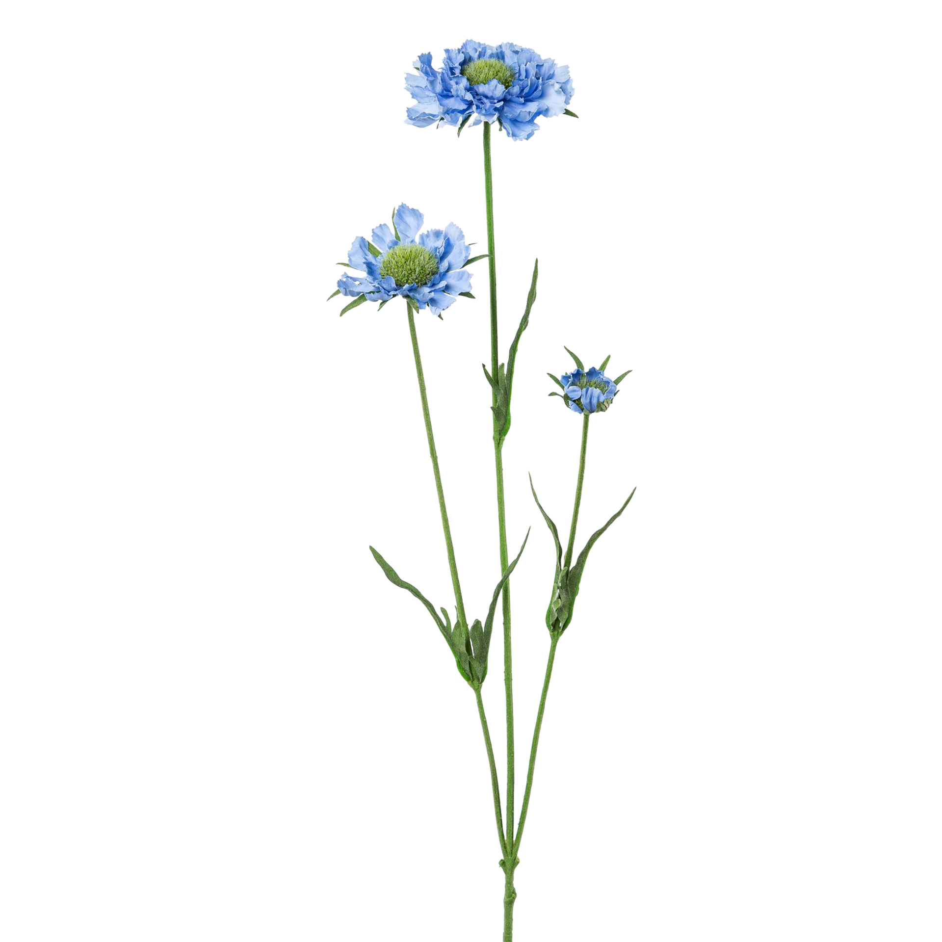 Kunstblume Scabiosa Blau-Grün