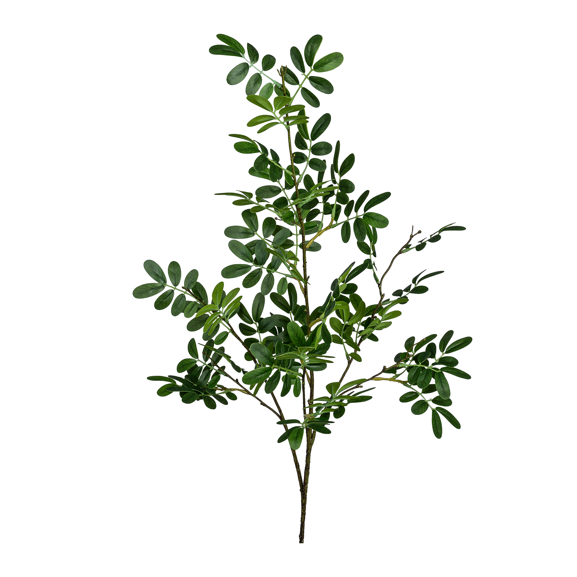 Kunstblume Moringa Grün