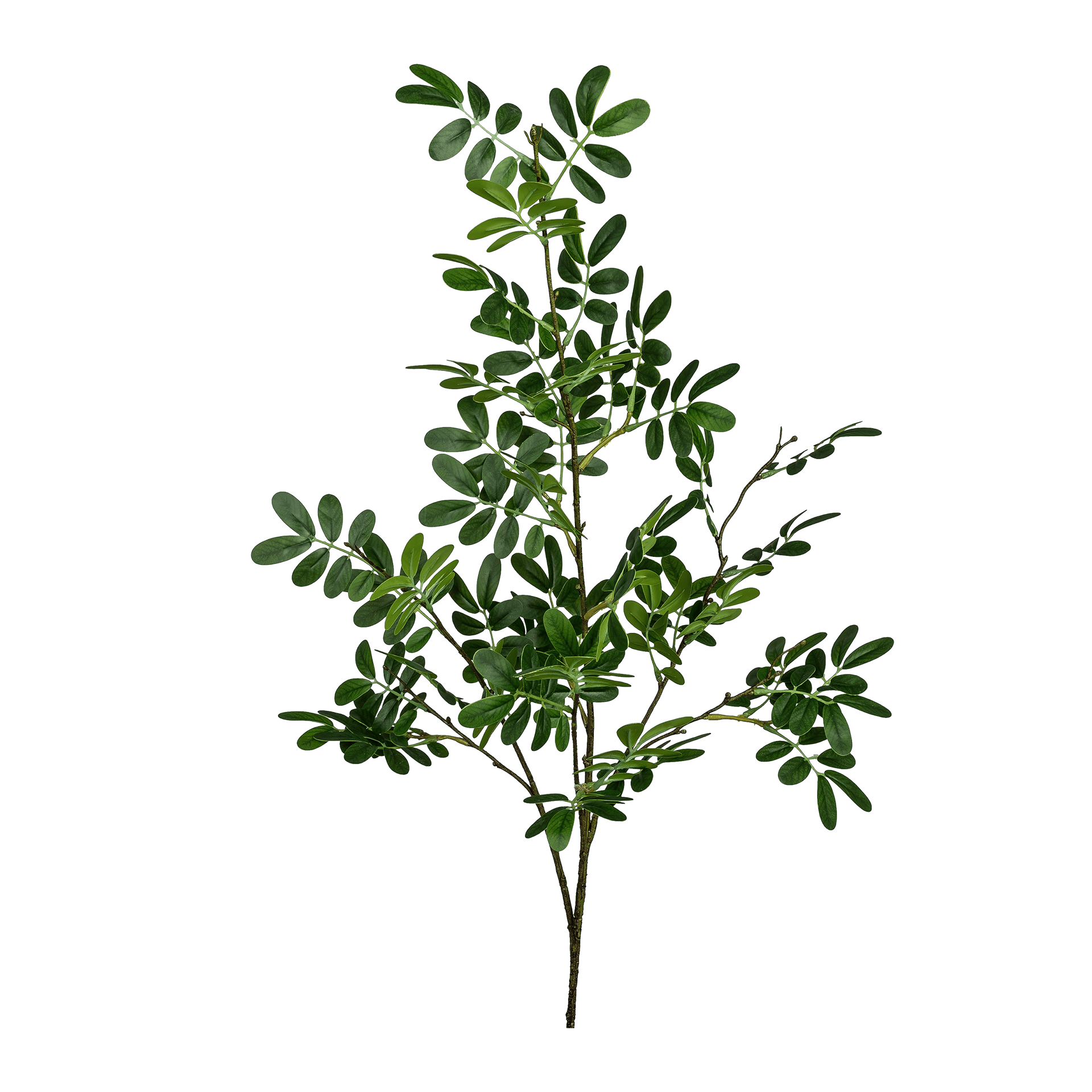 Kunstblume Moringa Grün