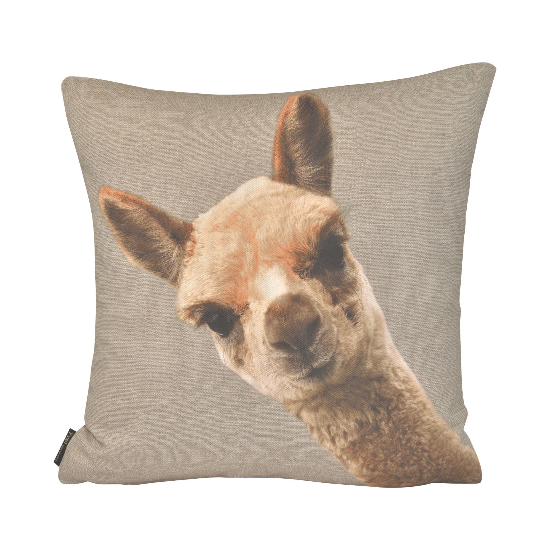 Kissenhülle Happy Cushion 45x45cm Kissenhülle Happy Cushion 45x45cm