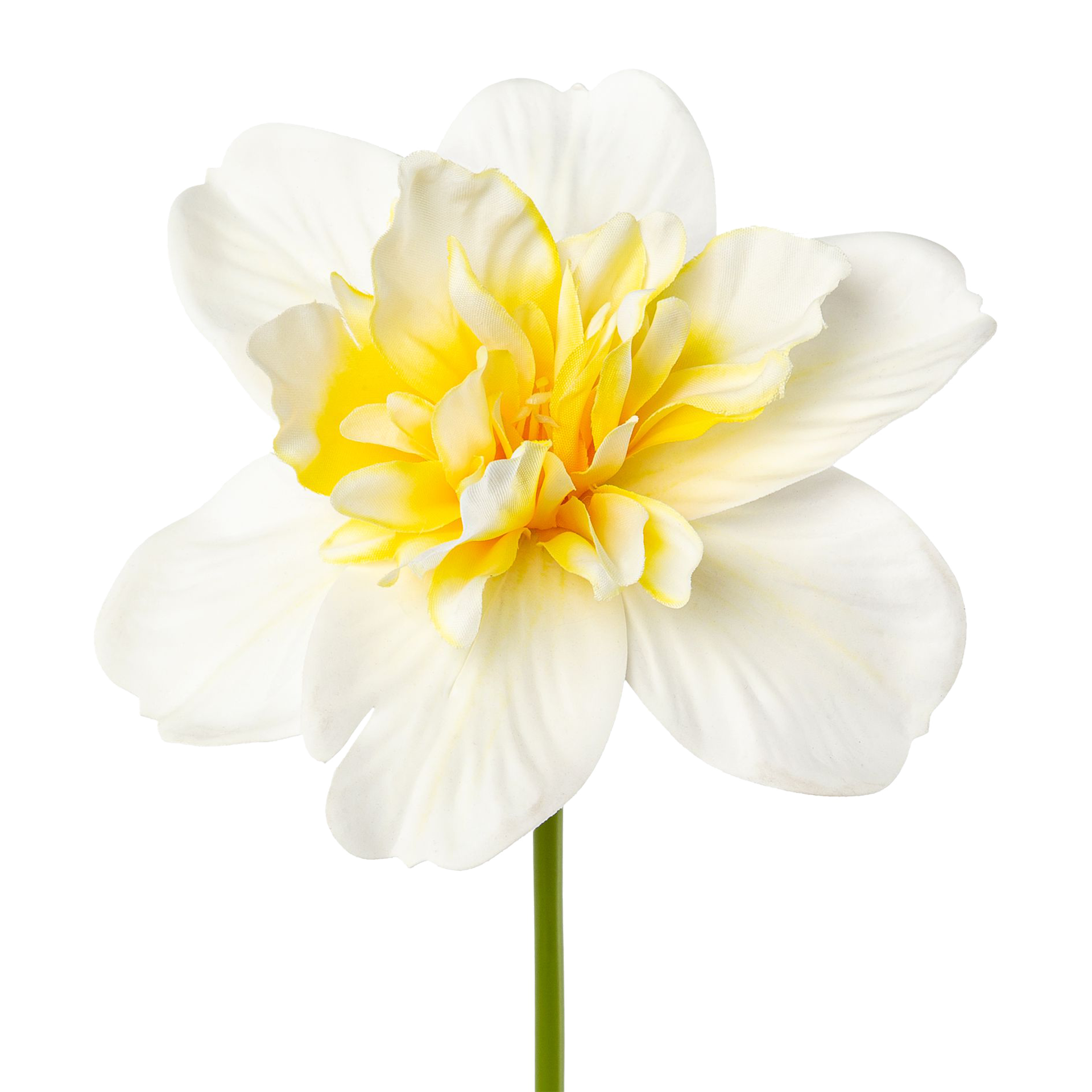 Kunstblume Osterglocke Wei online kaufen | Hofmeister