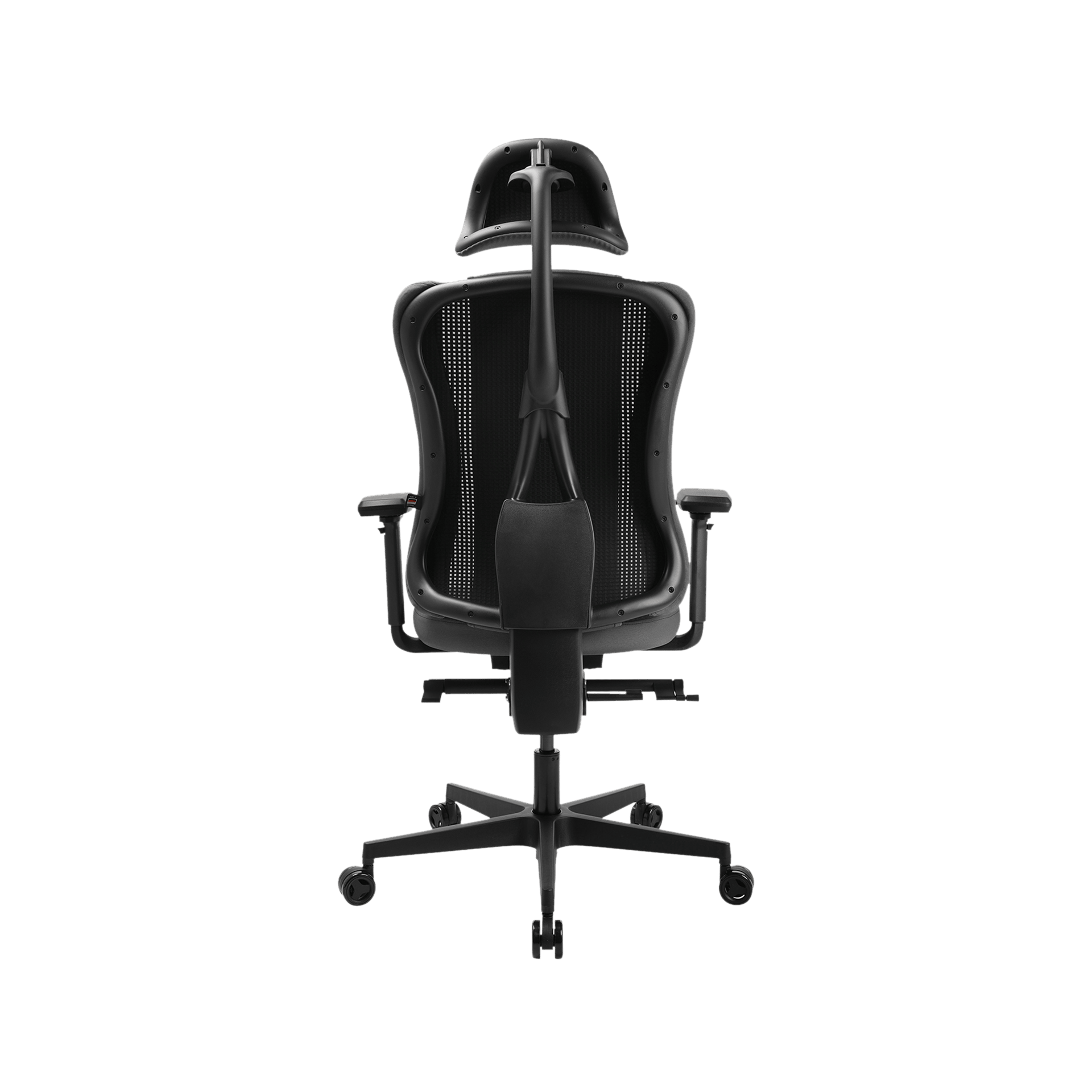 Sitness Rs Pro 2020